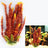 Aquarium fish tank ornament simulation plant - Lootquake