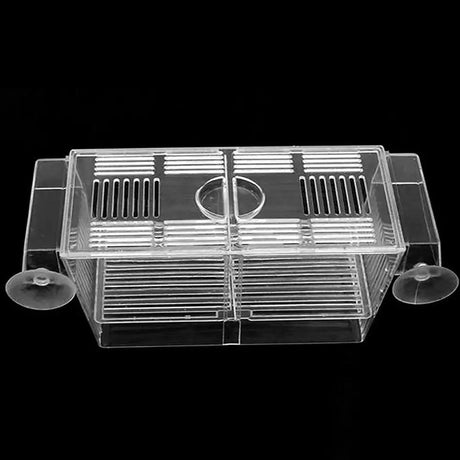 Acrylic Aquarium Fish Tank Incubation Box - Lootquake