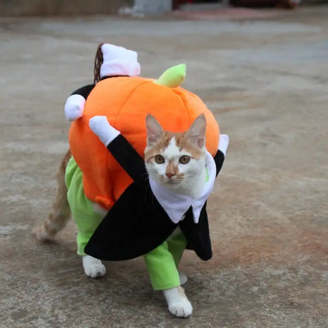 clothes for pets - Lootquake