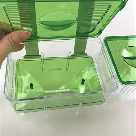 Hatching box guppy sick fish isolation box fighting fish - Lootquake
