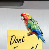 Juego de 6 imanes decorativos de madera con forma de loros de G. Debrekht - Decoración de vida silvestre - 8090013G-S6