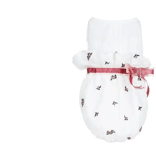 Pet cat clothes - Lootquake
