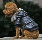 Cross-border pet supplies pet clothes dog clothes autumn and winter fur collar coat pet dog clothing - Lootquake