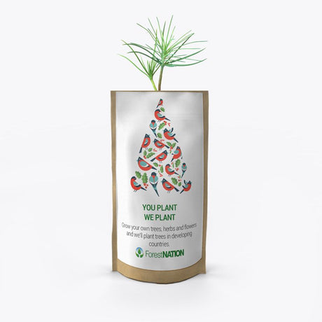 Season's Greetings Birdy Tree Growing Kit-0
