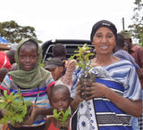 Pack of 20 Tree Kit Cups, We Plant 200 More Trees-3