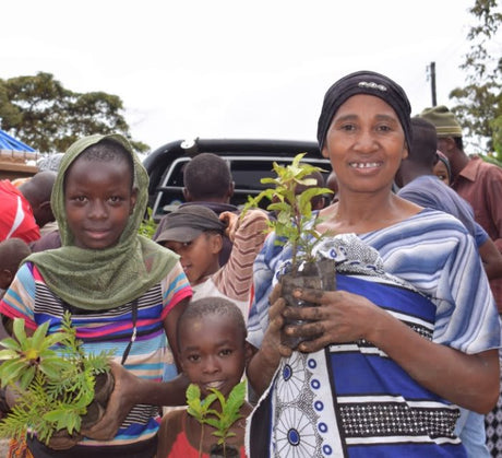 Pack of 20 Tree Kit Cups, We Plant 200 More Trees-3