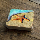 Posavasos de corcho de madera con diseño de estrellas de mar de Nature Wonders (juego de 4) - Decoración costera con temática marina - 95253C-S4