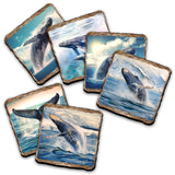 Humpback Whale Wooden Cork Placemat and Coasters Gift Set of 7 by Nature Wonders Coastal Nature Wildlife Decor  - 85403C-S7
