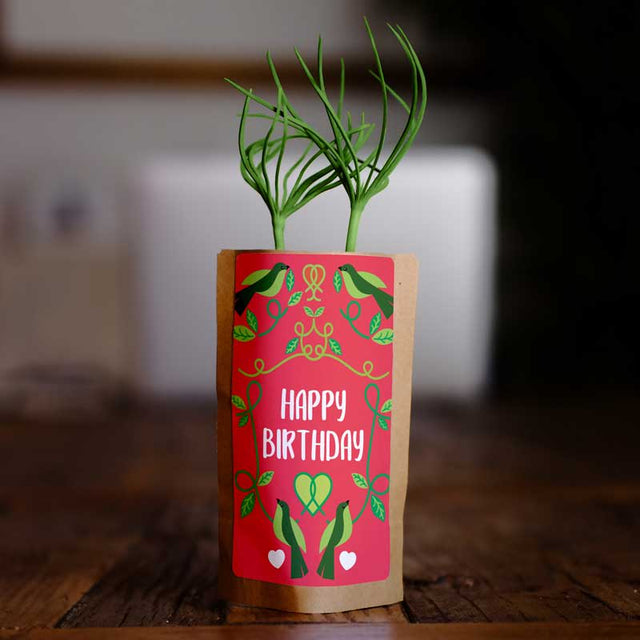 Happy Birthday Lovebirds-0