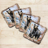 Black Bear Wooden Cork Coasters Gift Set of 4 by Nature Wonders Nature Wildlife Decor  - 95398C-S4