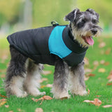 Winter Warm Pet Dog Clothes Thicken Pullover For Small Large Dogs Sweatshirt Puppy Down Jacket French For Dog Clothes - Lootquake