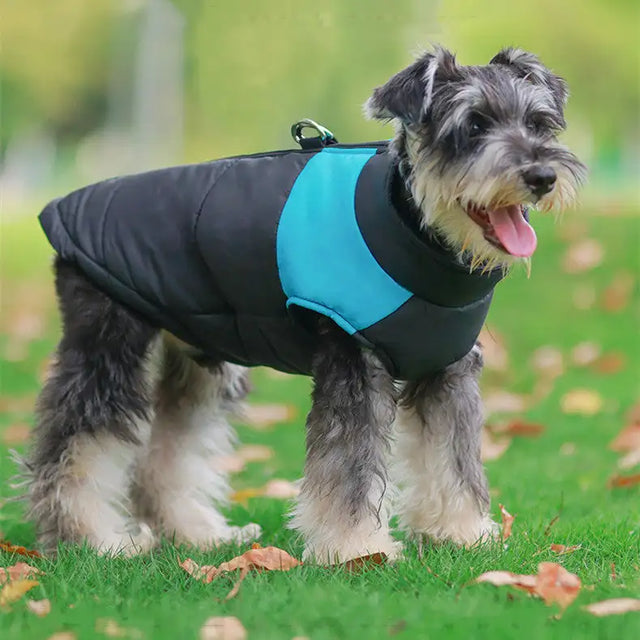 Winter Warm Pet Dog Clothes Thicken Pullover For Small Large Dogs Sweatshirt Puppy Down Jacket French For Dog Clothes - Lootquake