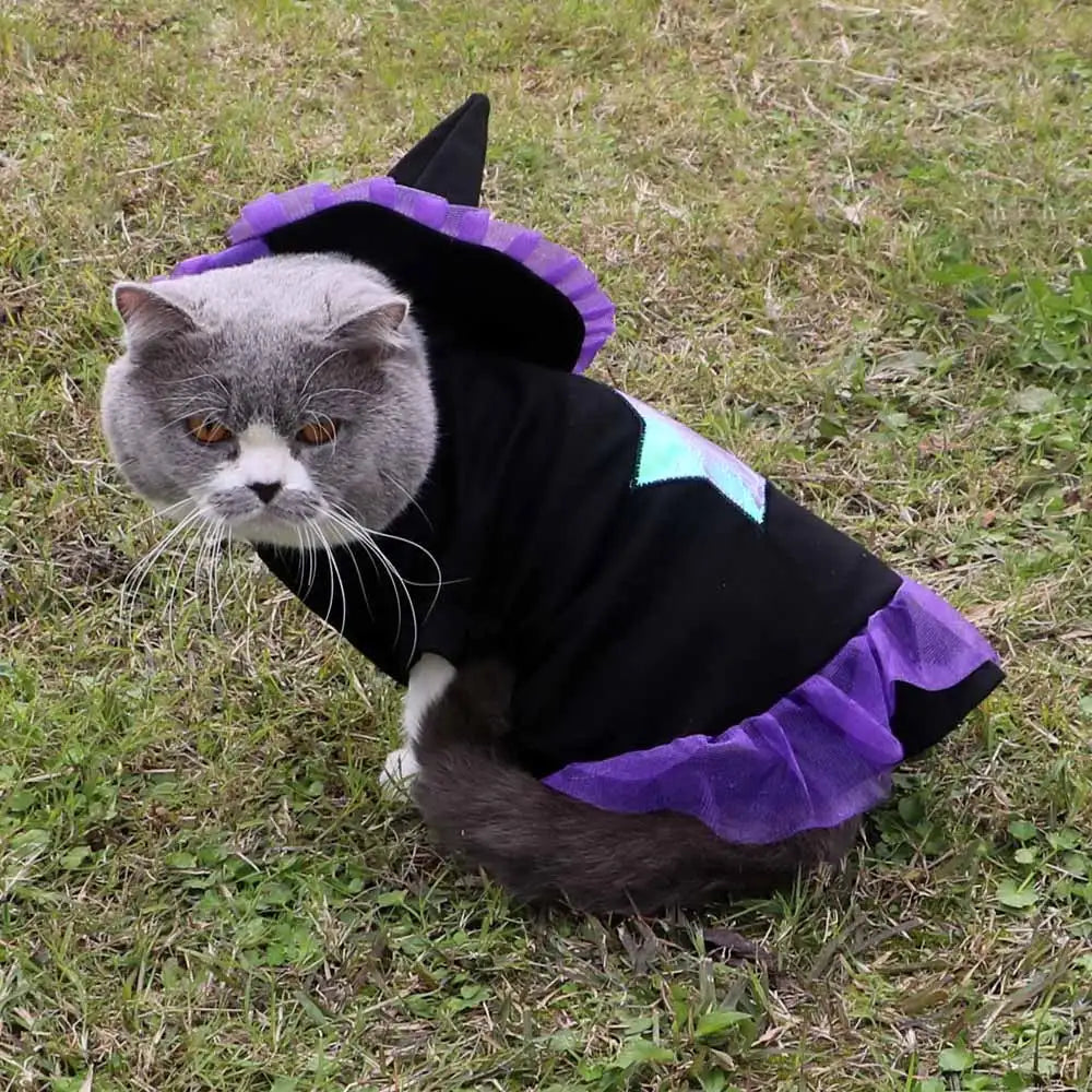 Christmas Wizard Pet Halloween Dog Clothes Pet Clothes - Lootquake