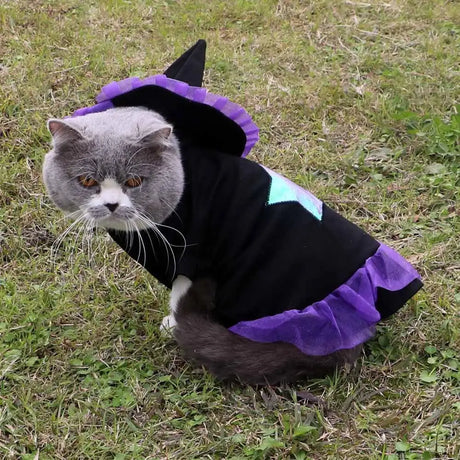 Christmas Wizard Pet Halloween Dog Clothes Pet Clothes - Lootquake