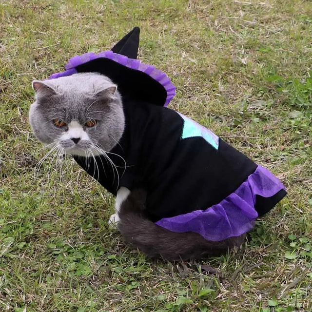 Christmas Wizard Pet Halloween Dog Clothes Pet Clothes - Lootquake