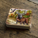 Moose Wooden Cork Coasters Gift Set of 4 by Nature Wonders - Nature Wildlife Decor  - 95216-2C-S4
