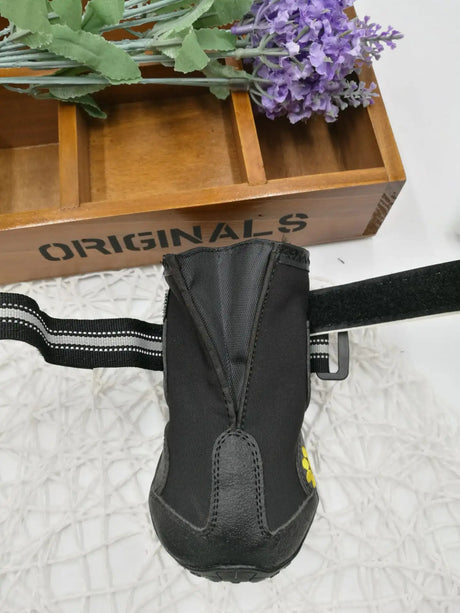 Pet shoes wear dog shoes - Lootquake