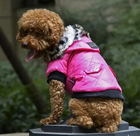 Cross-border pet supplies pet clothes dog clothes autumn and winter fur collar coat pet dog clothing - Lootquake