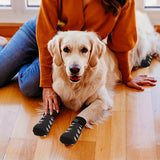Lot de 4 chaussettes antidérapantes pour chien avec semelles antidérapantes - Chaussures de protection pour animaux de compagnie - Idéales pour les activités à la maison
