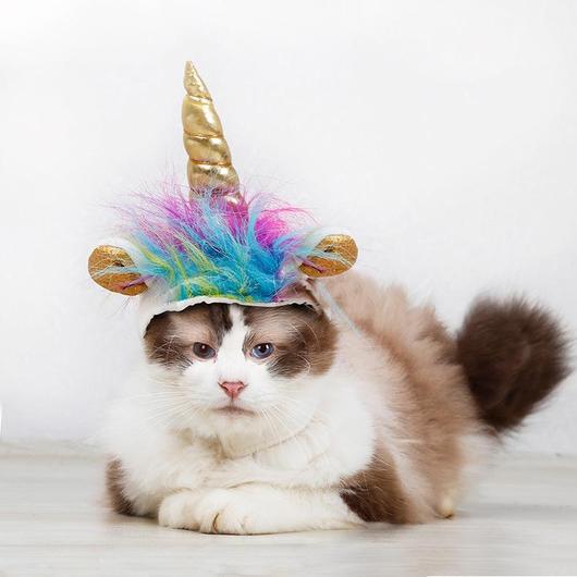 Sombreros de Halloween para mascotas "Unicornio vs. Diablo"