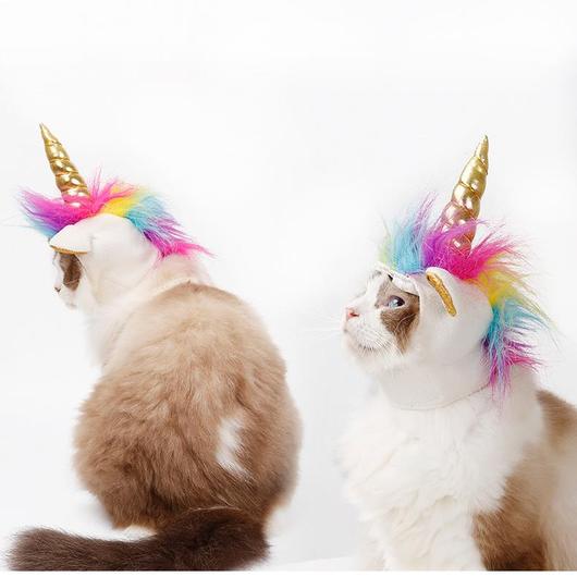 Sombreros de Halloween para mascotas "Unicornio vs. Diablo"