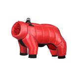 Pet Anti-light Warm New Article Clothing Winter Dog Down Jacket Waterproof Pets Clothes For Small Dogs - Lootquake