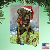 Perro de Papá Noel Flurries Fetch Fun de Laura Seeley - Decoración para perros y gatos - 8511025-LS