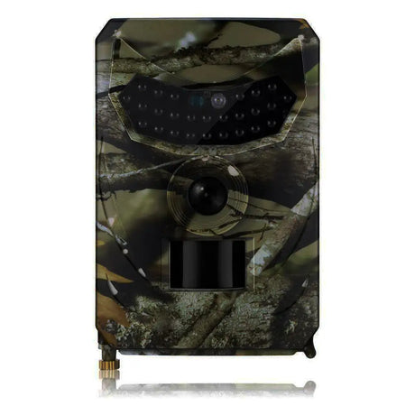Forestry security camera - Lootquake