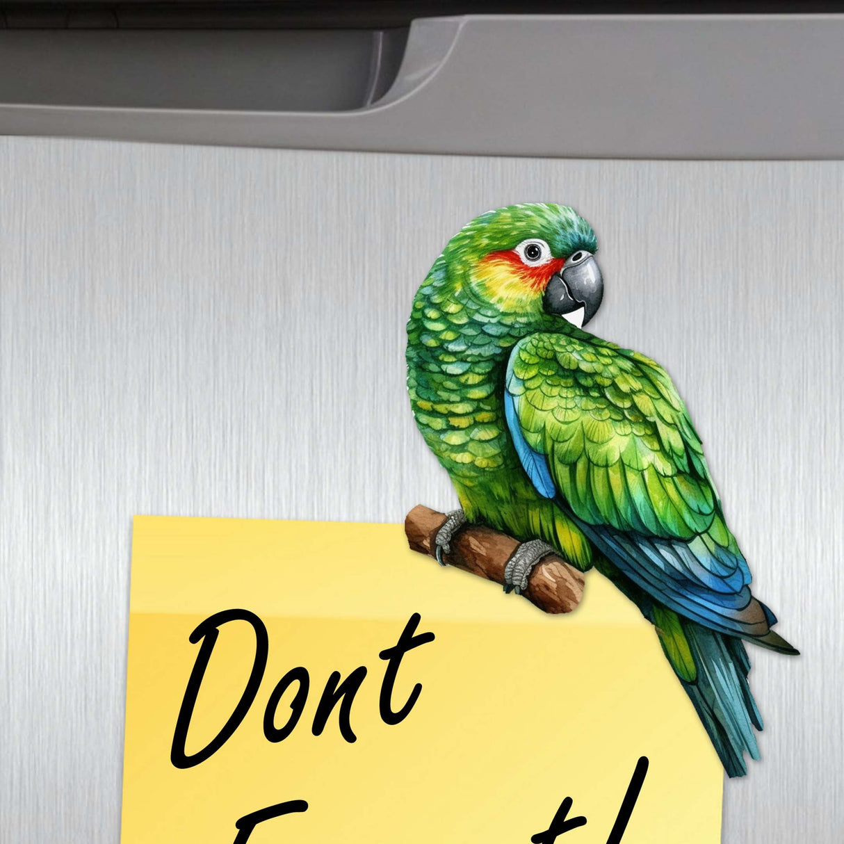 Juego de 6 imanes decorativos de madera con forma de loros de G. Debrekht - Decoración de vida silvestre - 8090013G-S6