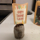 Happy Thanksgiving Greeting