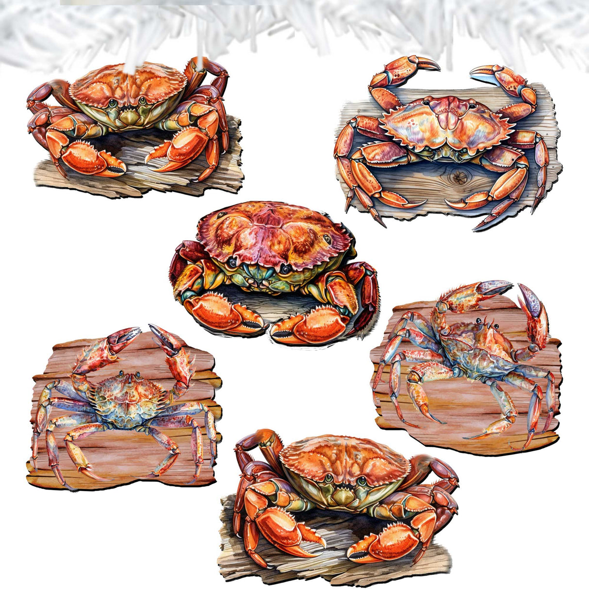 Crabs of the Wild Decorative Wooden Clip-on Ornaments Set of 6 by G. Debrekht - Wildlife Decor - 8090121C-S6