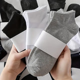 1/3/6/9/15 paires de chaussettes unies simples, chaussettes basses unisexes et polyvalentes, bas et collants pour femmes