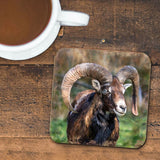 Mountain Goat Wooden Cork Coasters Gift Set of 4 by Nature Wonders - Nature Wildlife Decor  - 95369C-S4