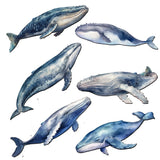 Coastal Giants Humpback Whales Decorative Wooden Magnets Set of 6 by G. Debrekht - Wildlife Decor - 8090103G-S6