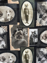 Dapper Dogs Fit & Flare Dress