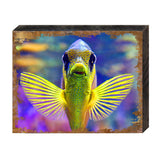 Arte mural costero de madera con peces tropicales de Nature Wonders - Decoración costera con vida marina - 95263B