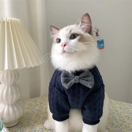 Warm And Cute Clothes For Pets Feet - Lootquake