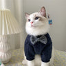 Warm And Cute Clothes For Pets Feet - Lootquake