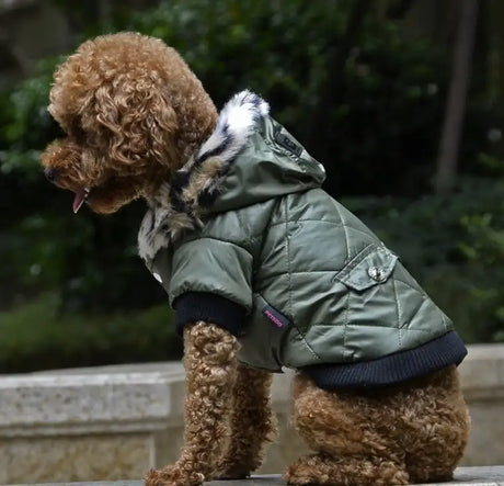 Cross-border pet supplies pet clothes dog clothes autumn and winter fur collar coat pet dog clothing - Lootquake