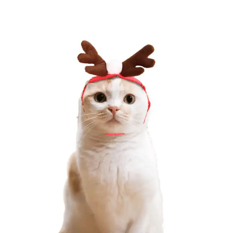 Cute Dog Cat Costume Christmas Cloak Halloween Disguise Cat - Lootquake