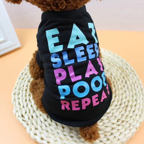 clothes for pets - Lootquake