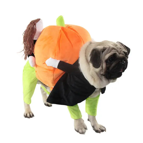 clothes for pets - Lootquake