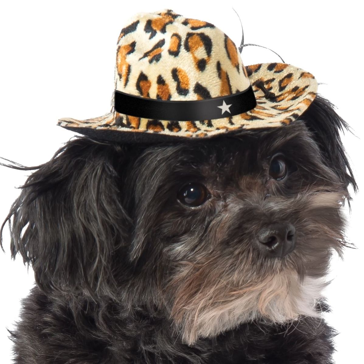 Pets Cowboy Hat - Various Colors
