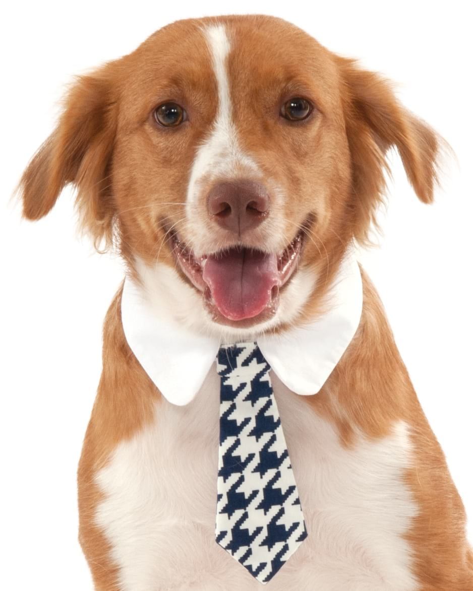 Pets Formal Tie Costume - Various Colors