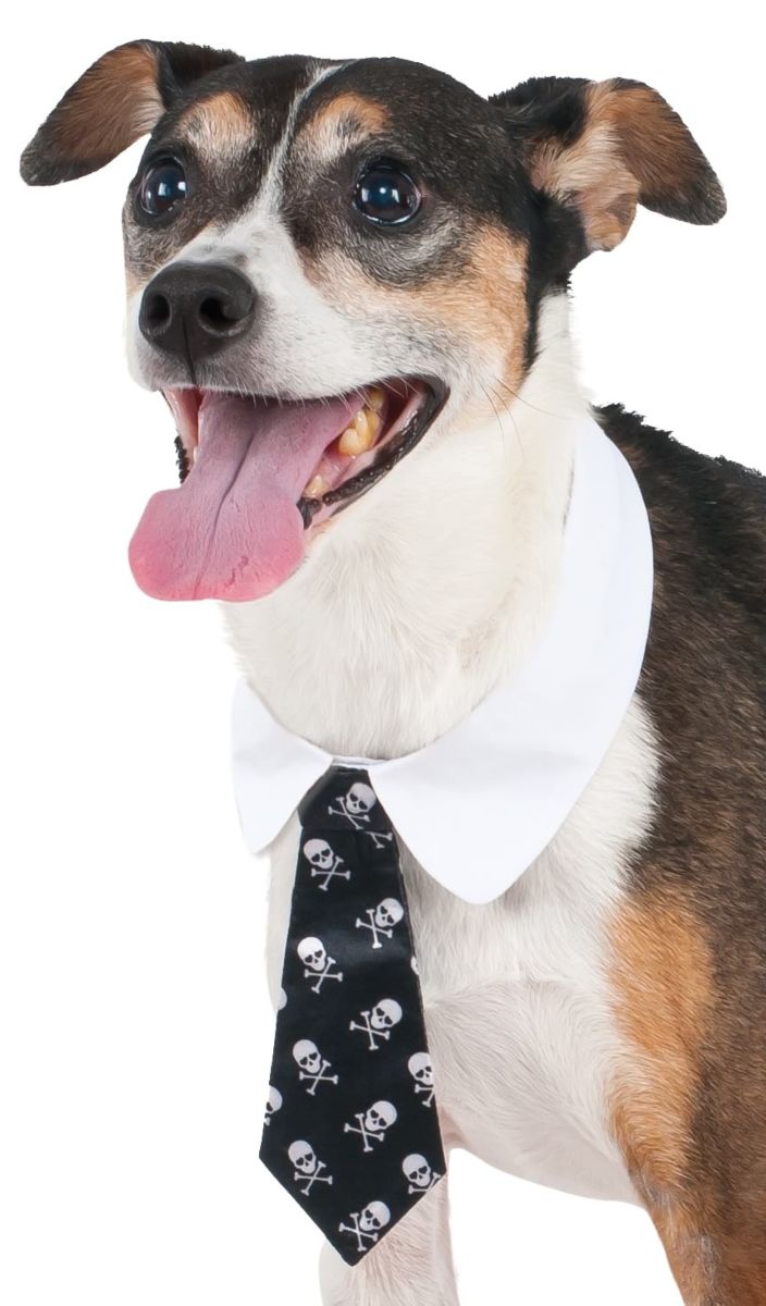 Pets Formal Tie Costume - Various Colors