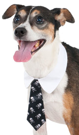 Pets Formal Tie Costume - Various Colors