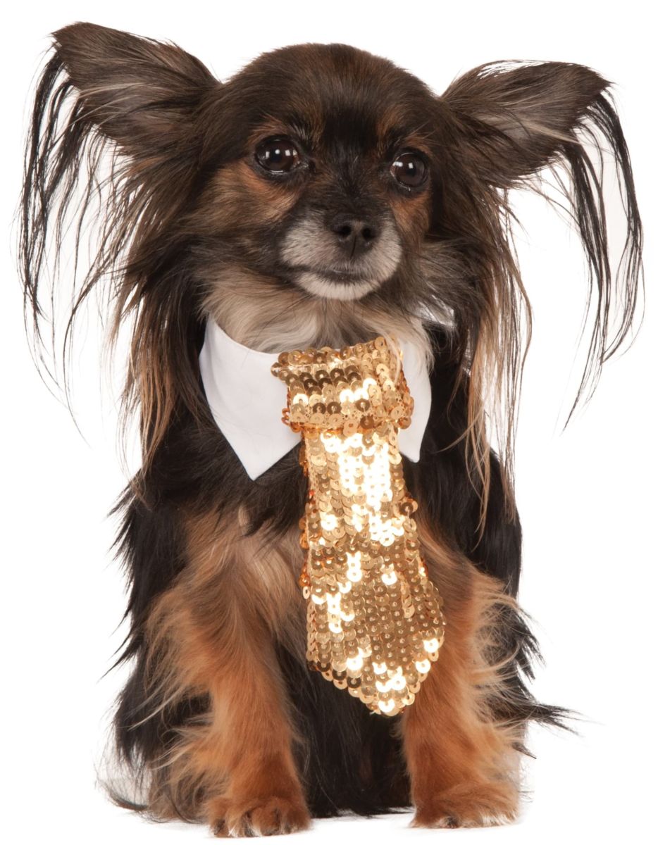 Pets Formal Tie Costume - Various Colors
