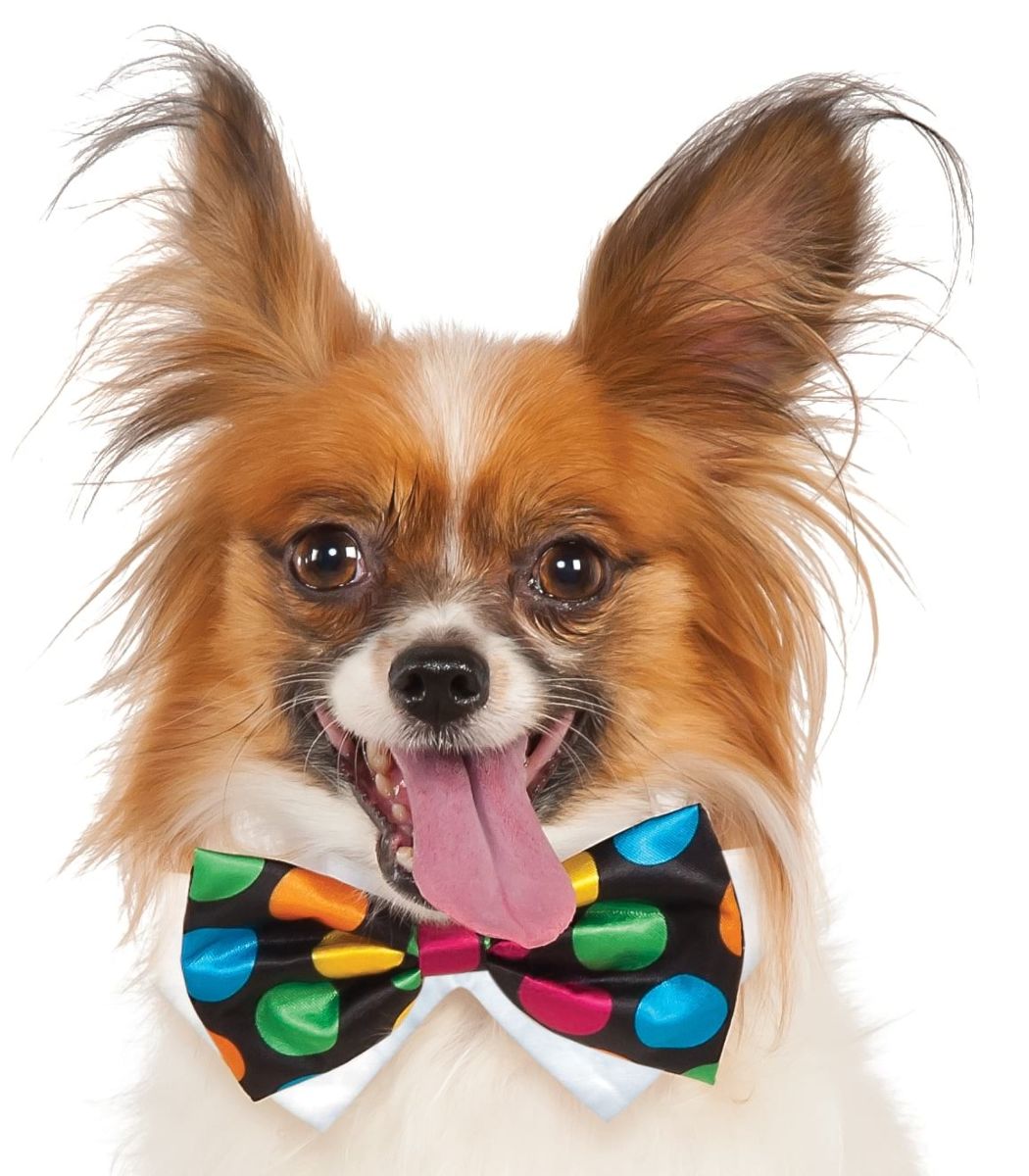 Pets Bow Tie Costume - Various Colors