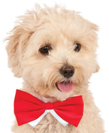 Pets Bow Tie Costume - Various Colors