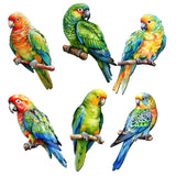 Juego de 6 imanes decorativos de madera con forma de loros de G. Debrekht - Decoración de vida silvestre - 8090013G-S6